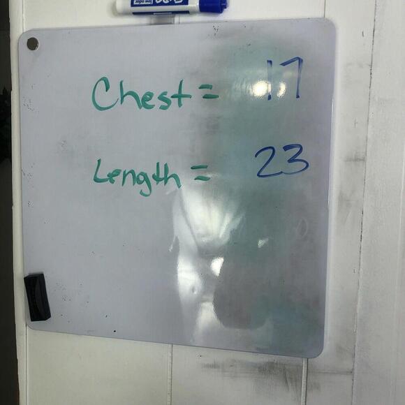 Leifsdottir Top Womens Size Small Soft Plus Short Sleeve Boxy Lined Anthro - Picture 6 of 8